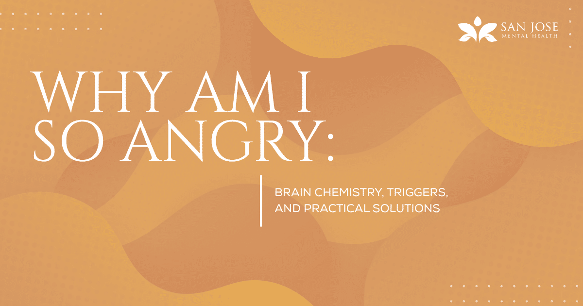 Slide title: Why Am I So Angry: Brain chemistry, triggers, and practical solutions. San Jose Mental Health logo in the top right.