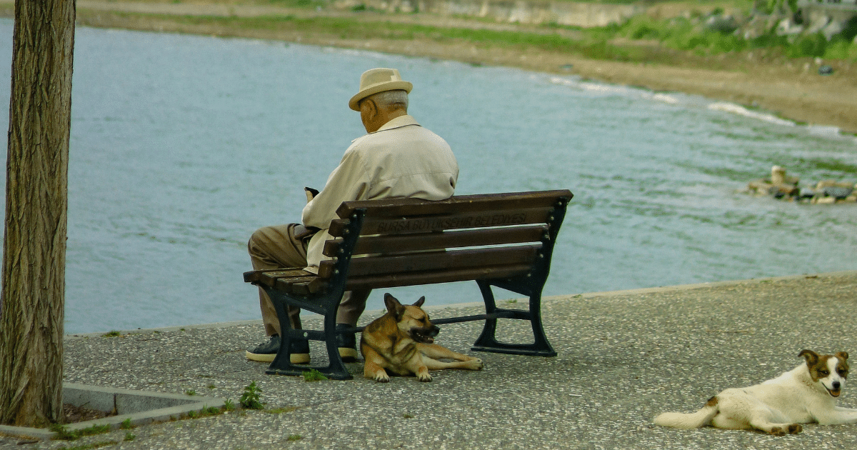 August-Blog Images 1 - San Jose Mental Health Elderly man in a beige coat and hat sits on a bench by a lake, with a dog resting at his feet and another on the pavement nearby.